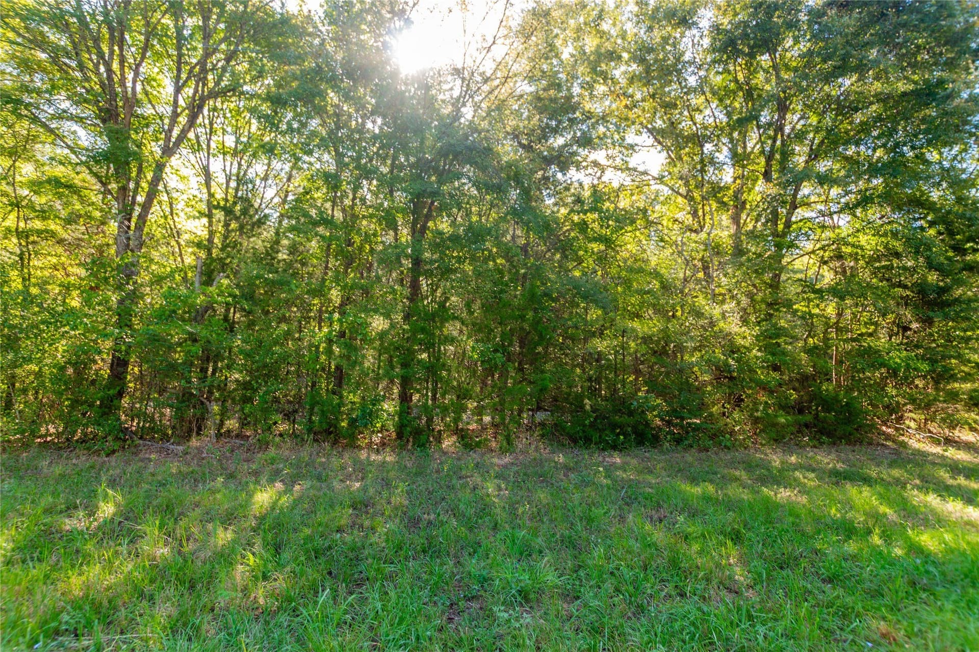 144.4 acres in Cherokee County - photo 3