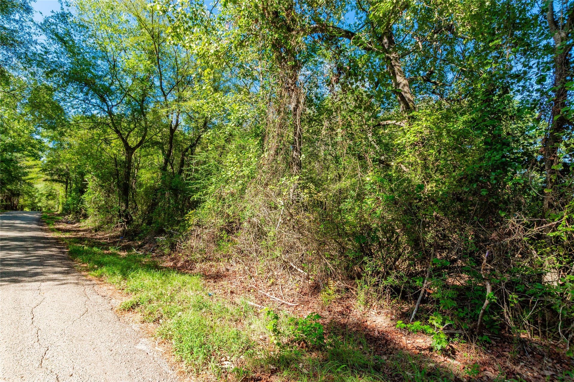 144.4 acres in Cherokee County - photo 10