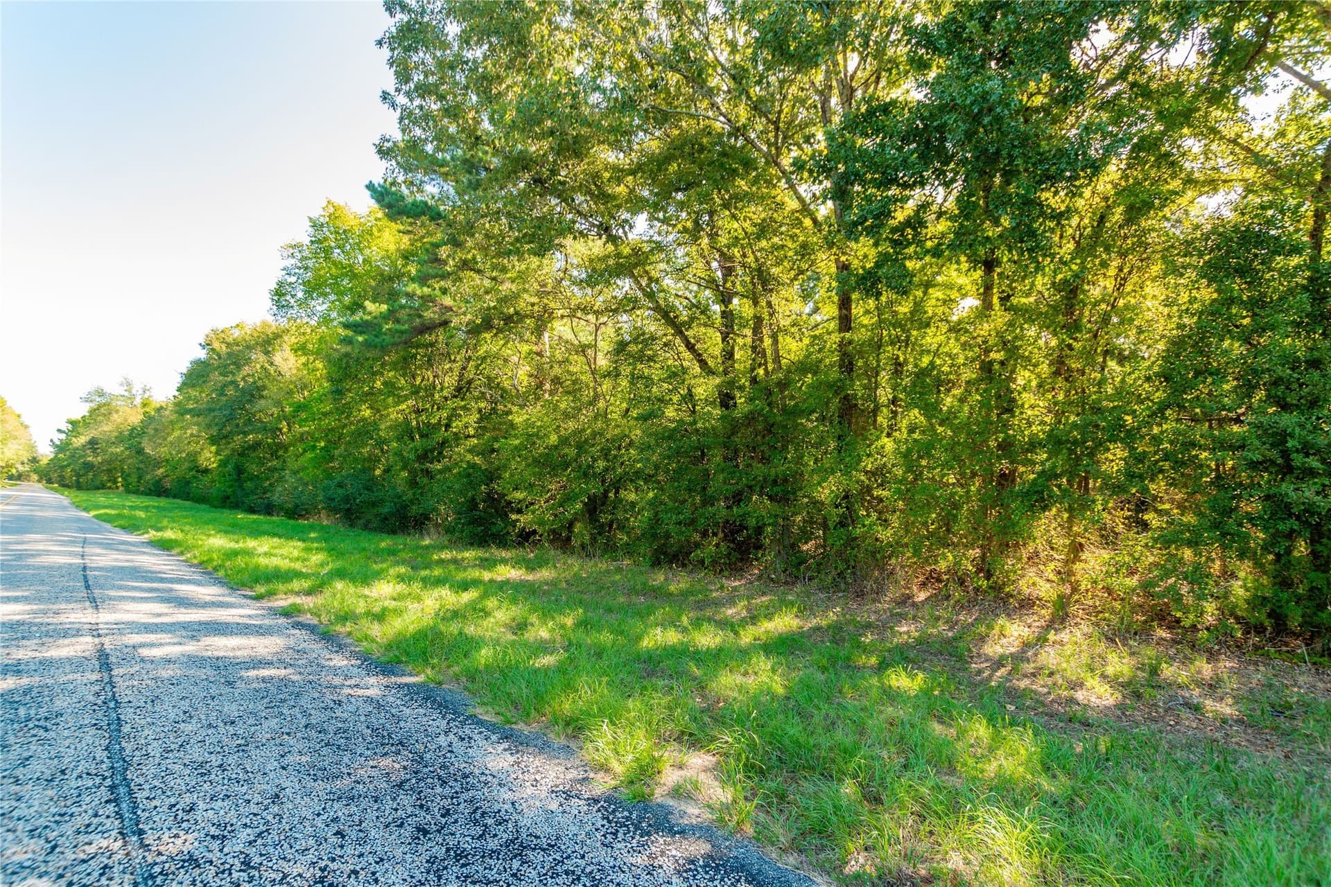 144.4 acres in Cherokee County - photo 6