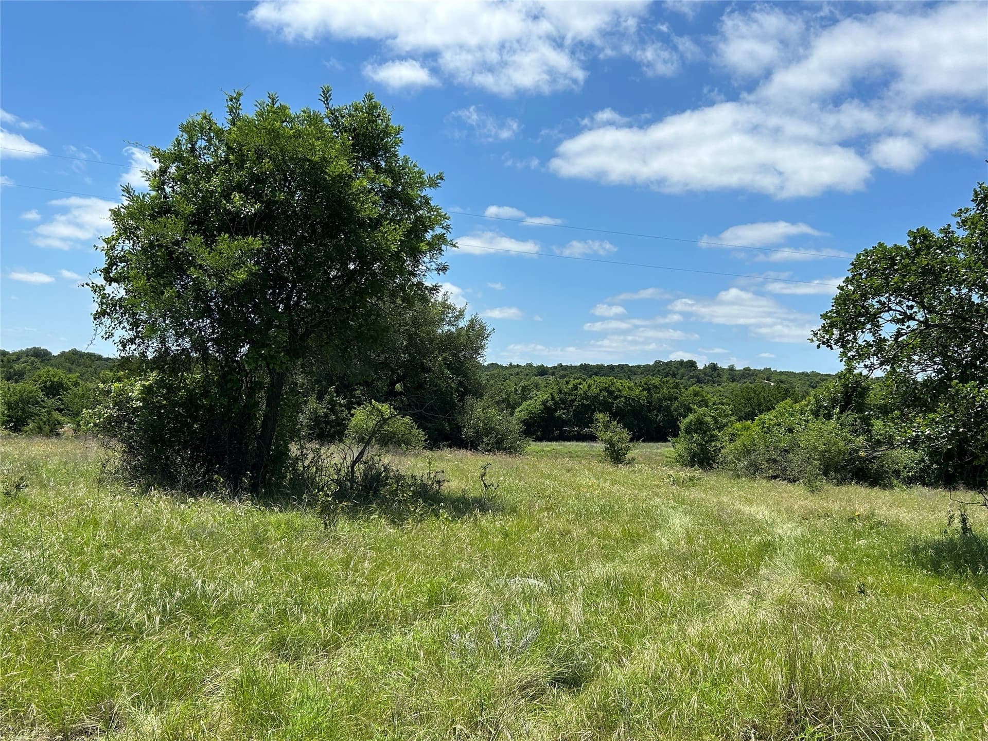 28 acres in Mills County gallery image 2