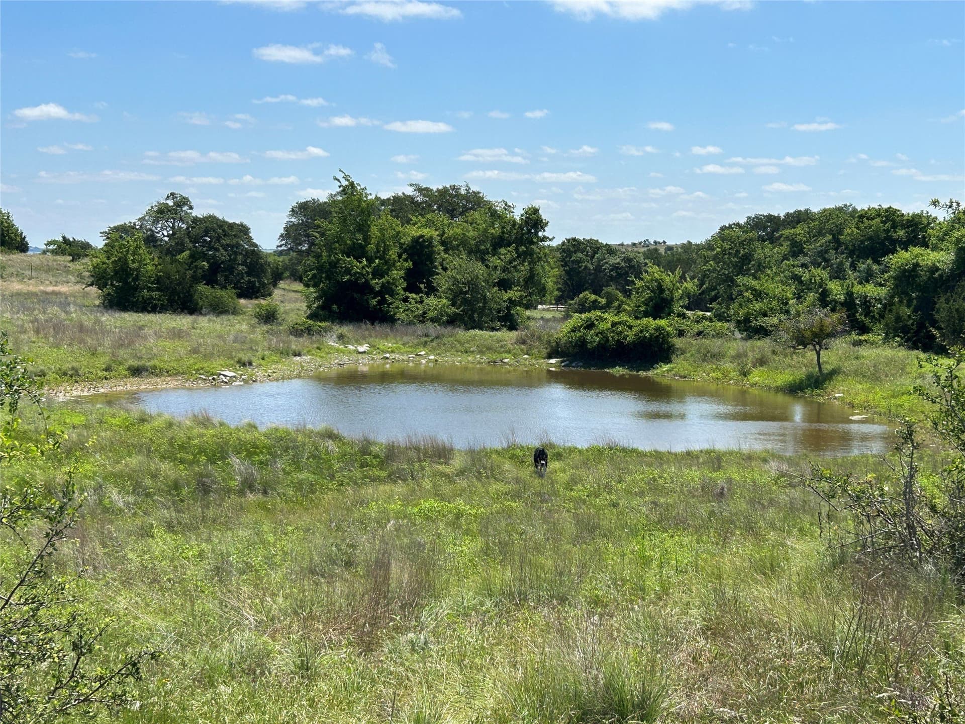 28 acres in Mills County gallery image 3