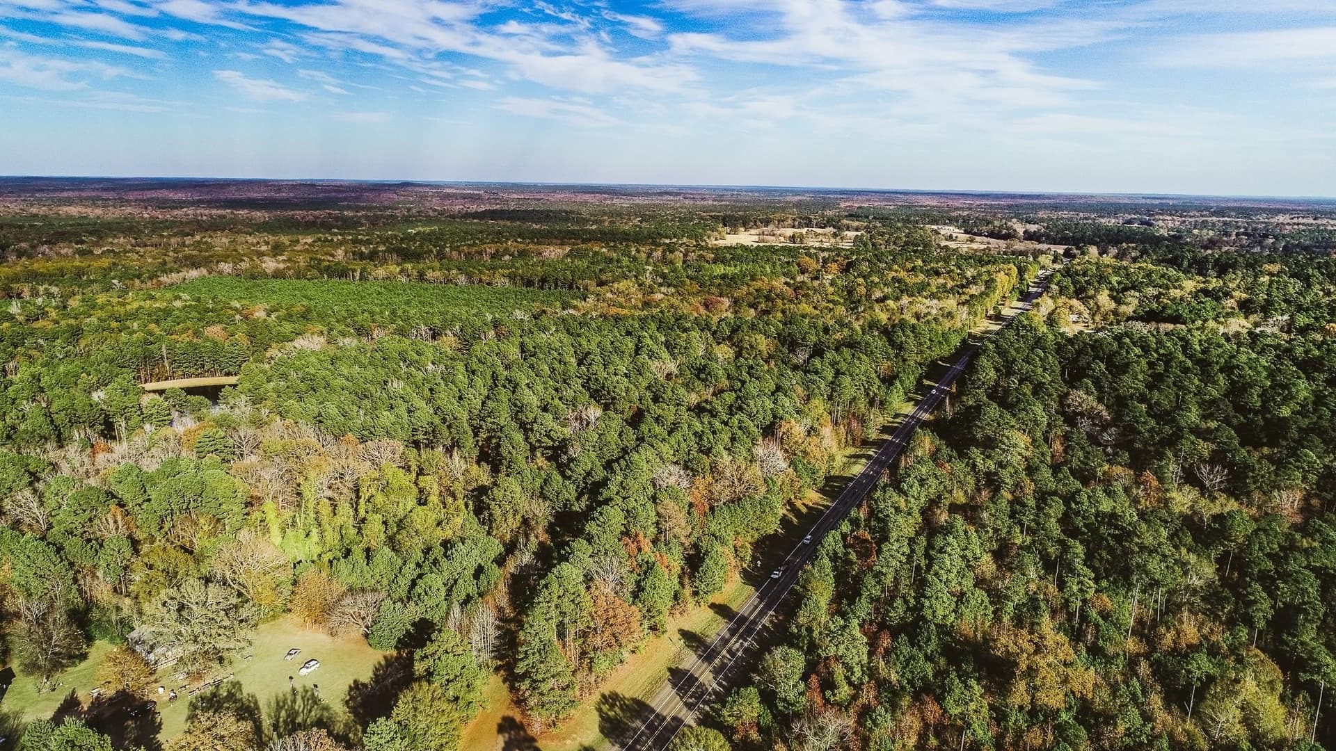 8 acres in Marion County gallery image 2