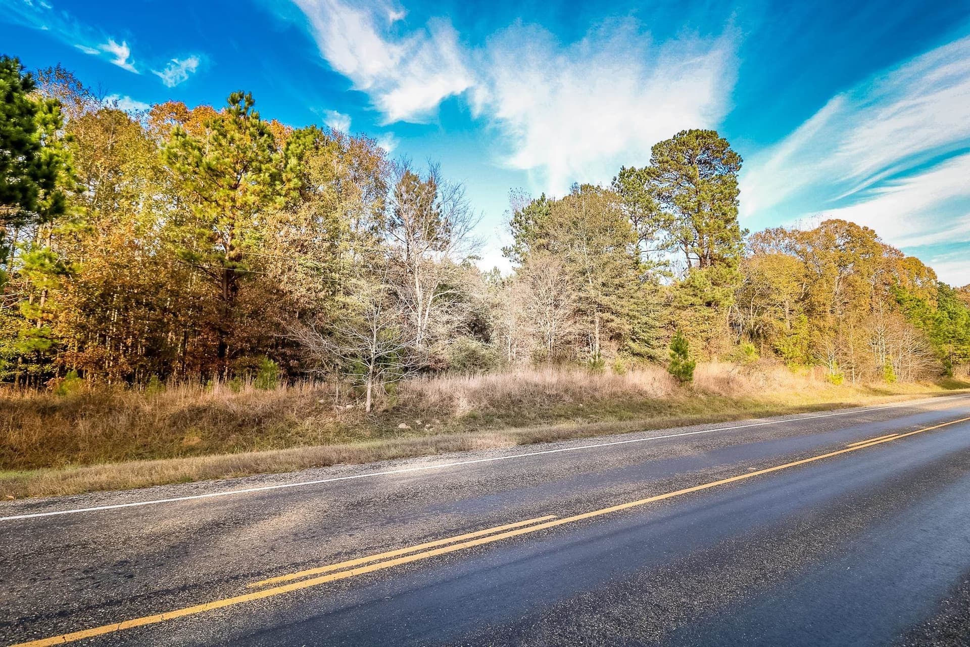 8 acres in Marion County featured view