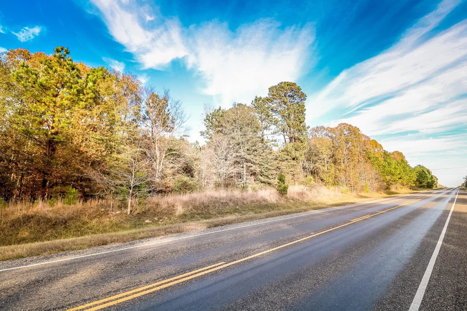 8 acres in Marion County - photo 6