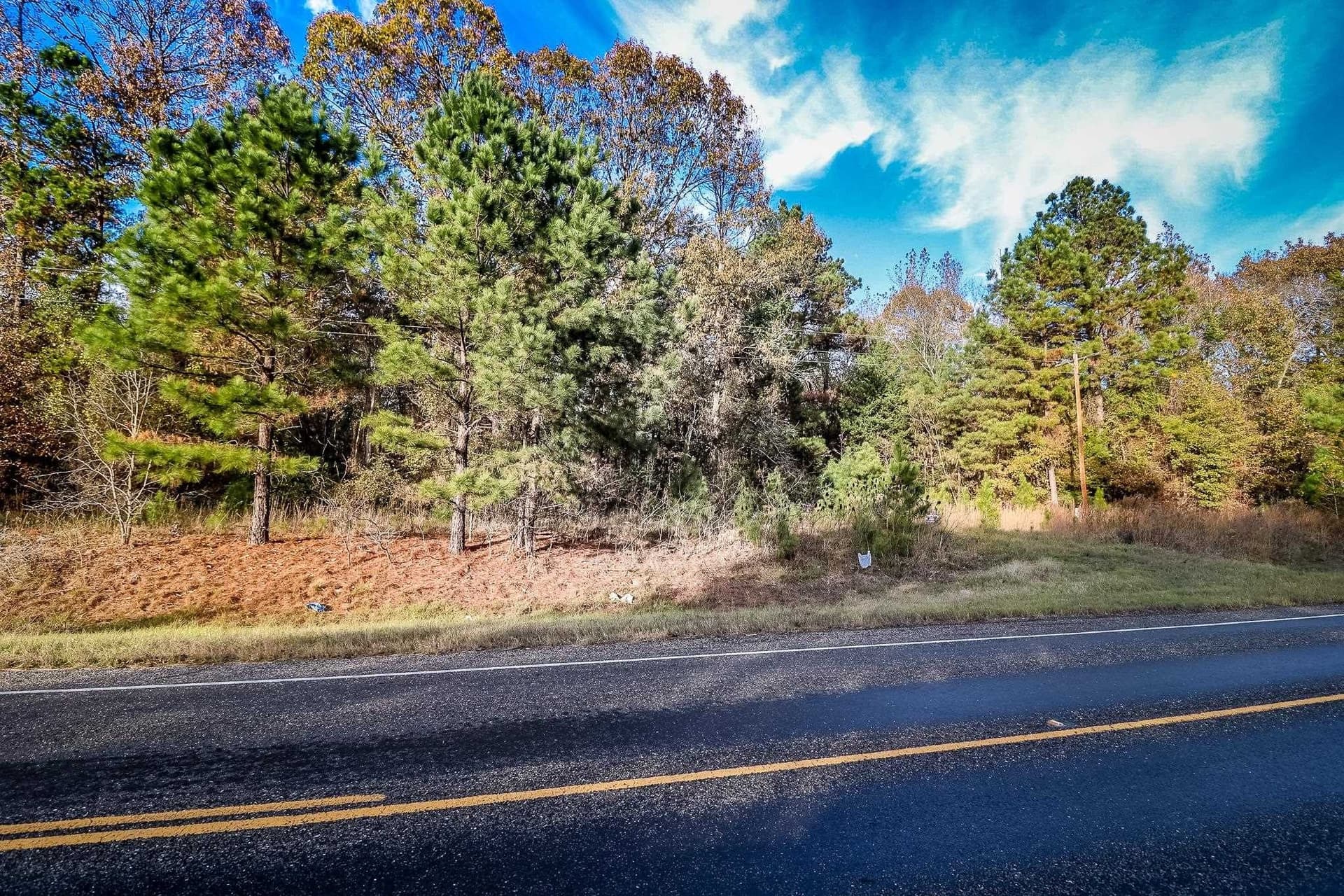8 acres in Marion County - photo 8