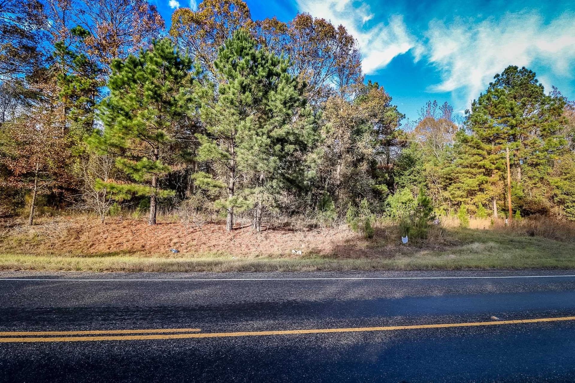 8 acres in Marion County - photo 7