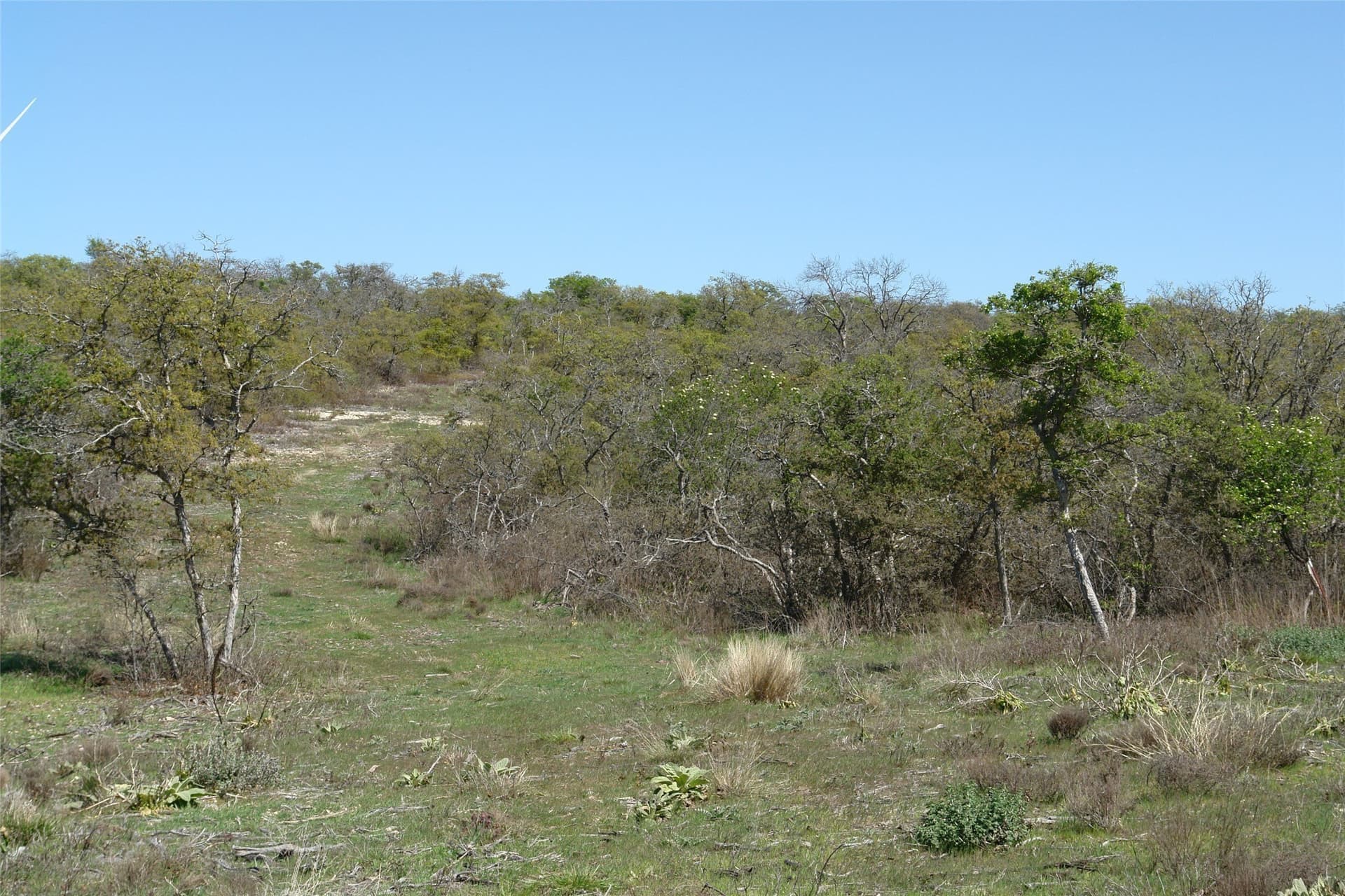 100 acres in Mills County - photo 24