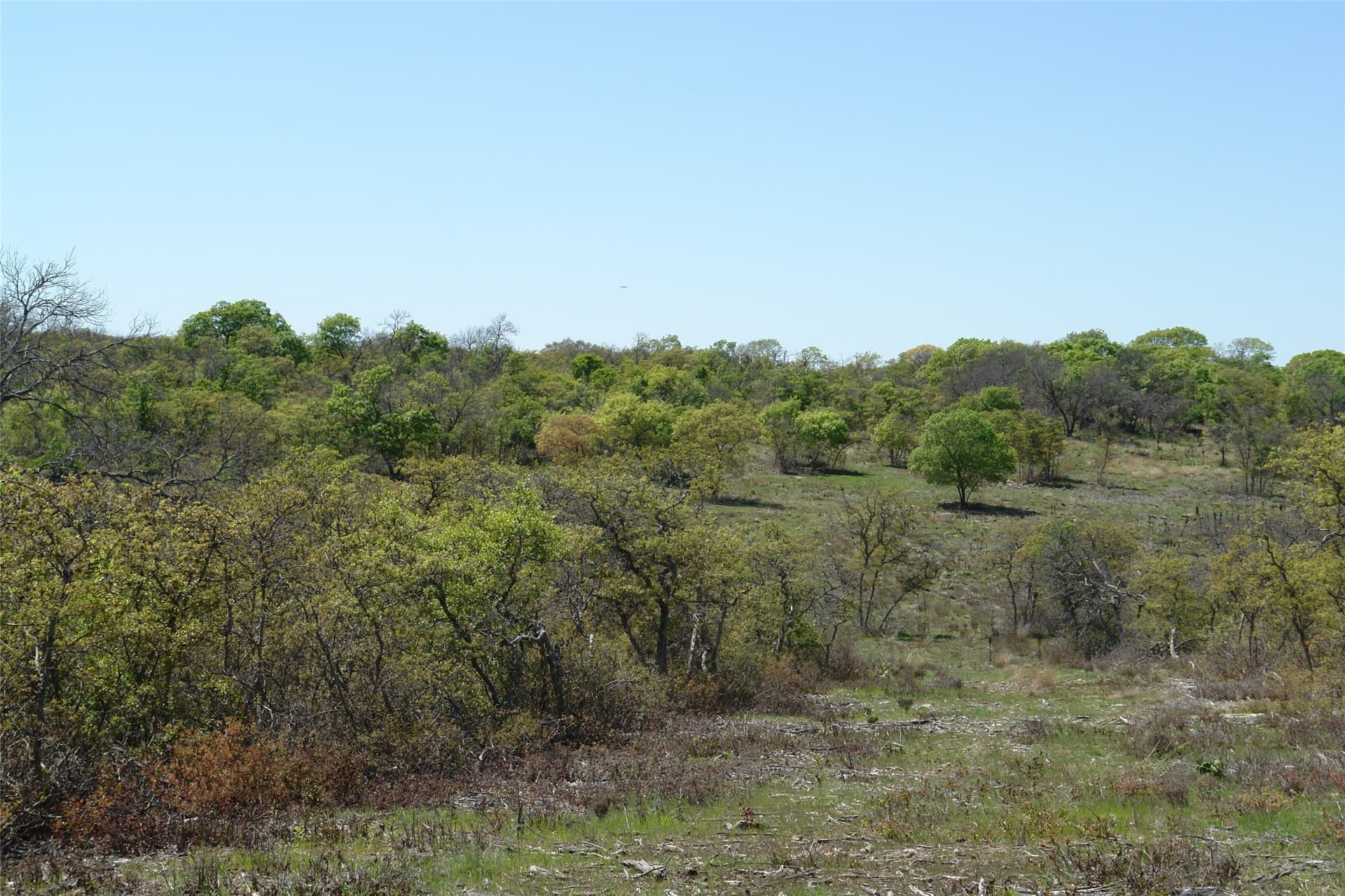 100 acres in Mills County - photo 23