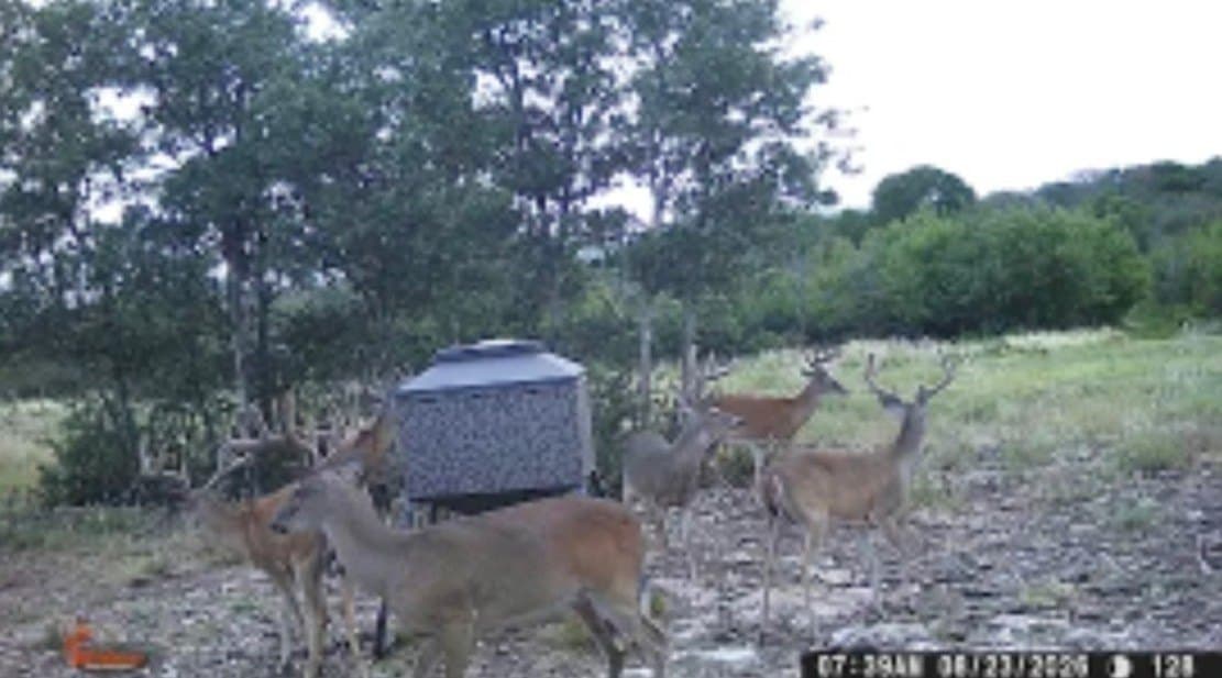 100 acres in Mills County - photo 4