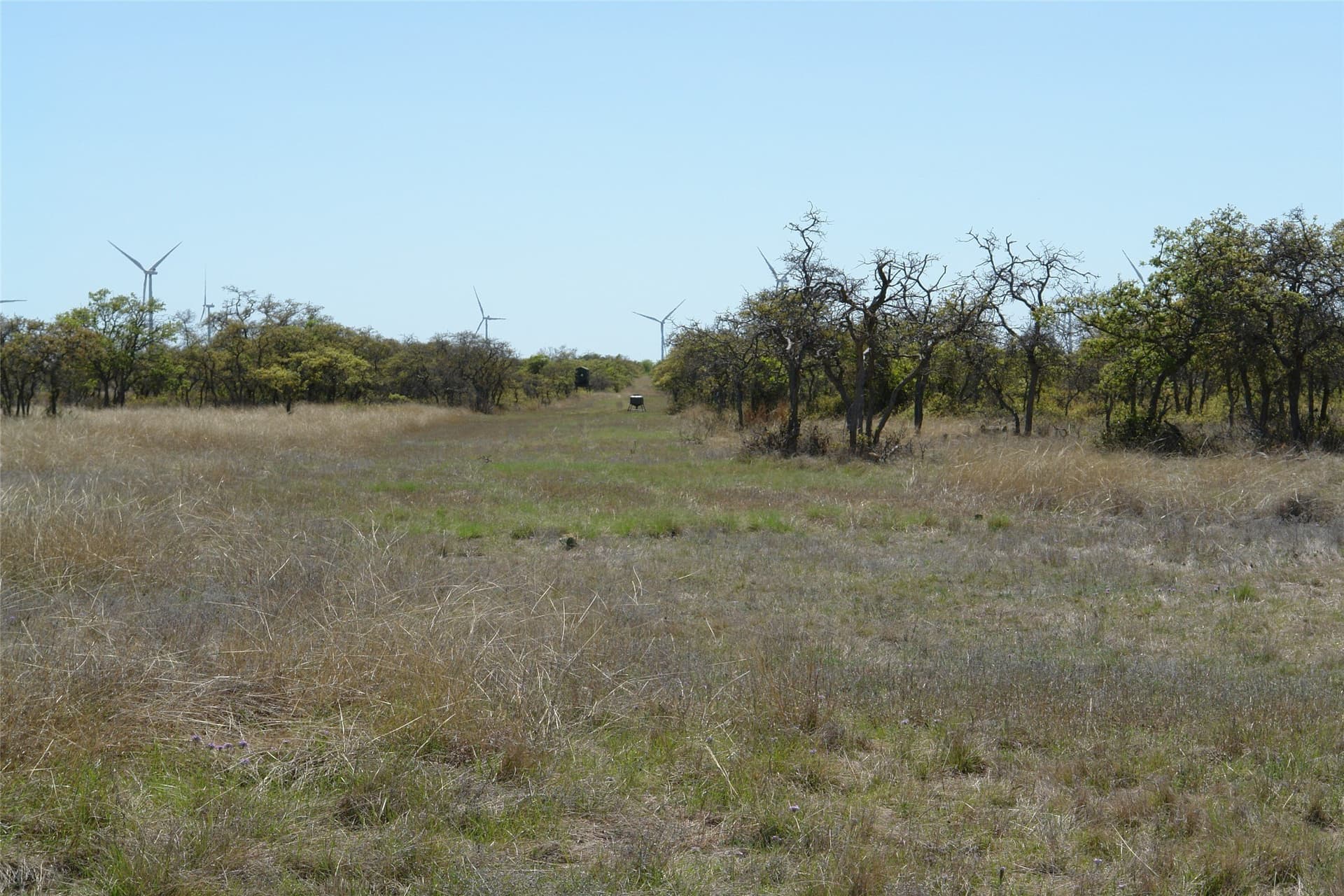 100 acres in Mills County - photo 21