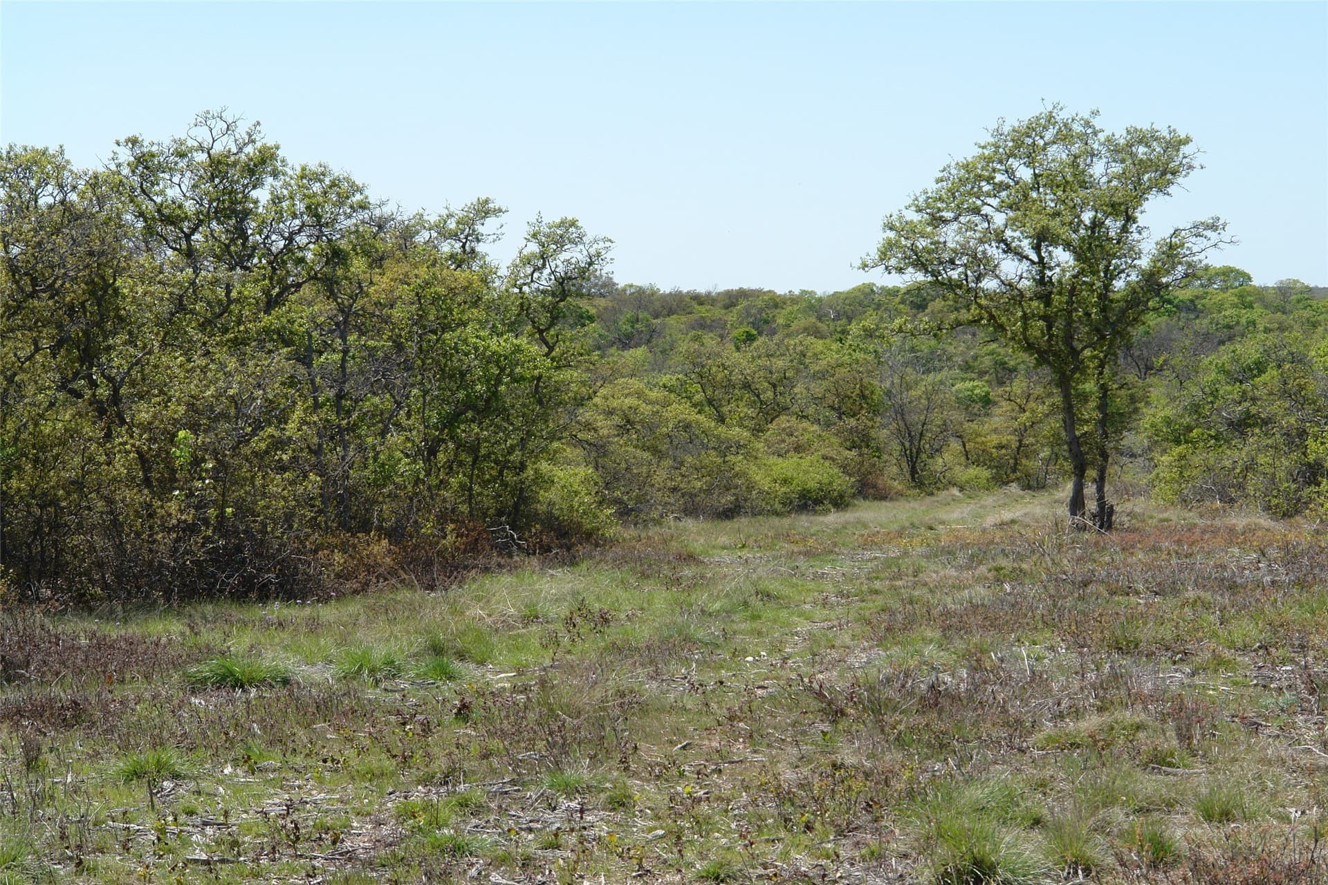 100 acres in Mills County - photo 22