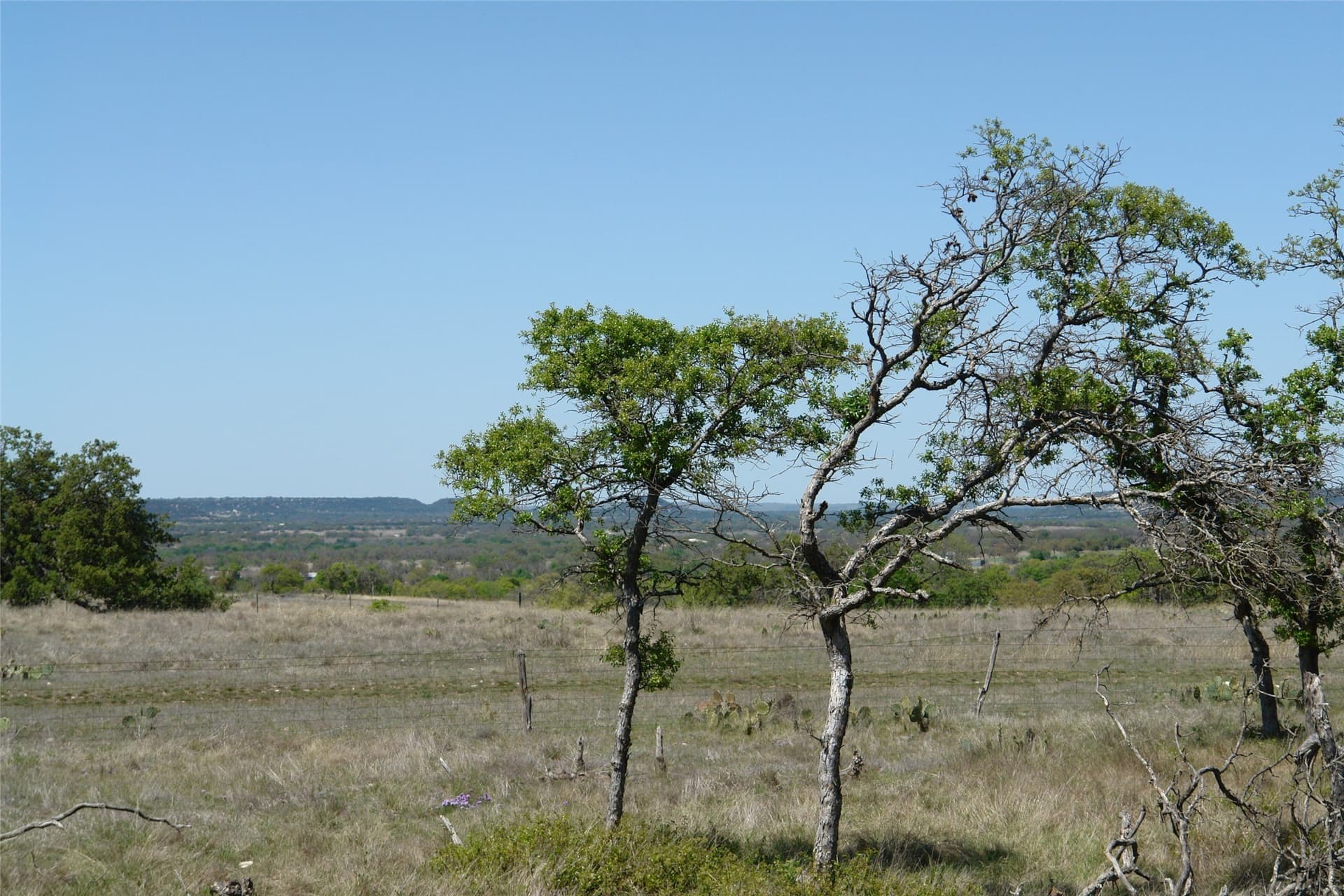100 acres in Mills County - photo 19