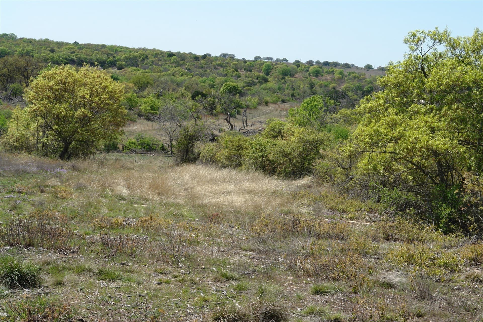 100 acres in Mills County - photo 3