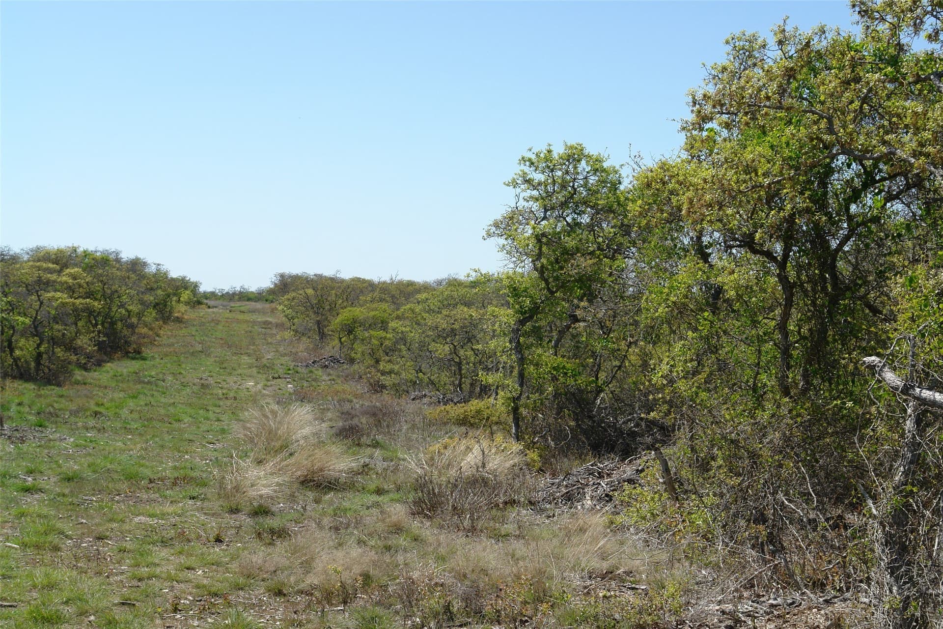 100 acres in Mills County - photo 27