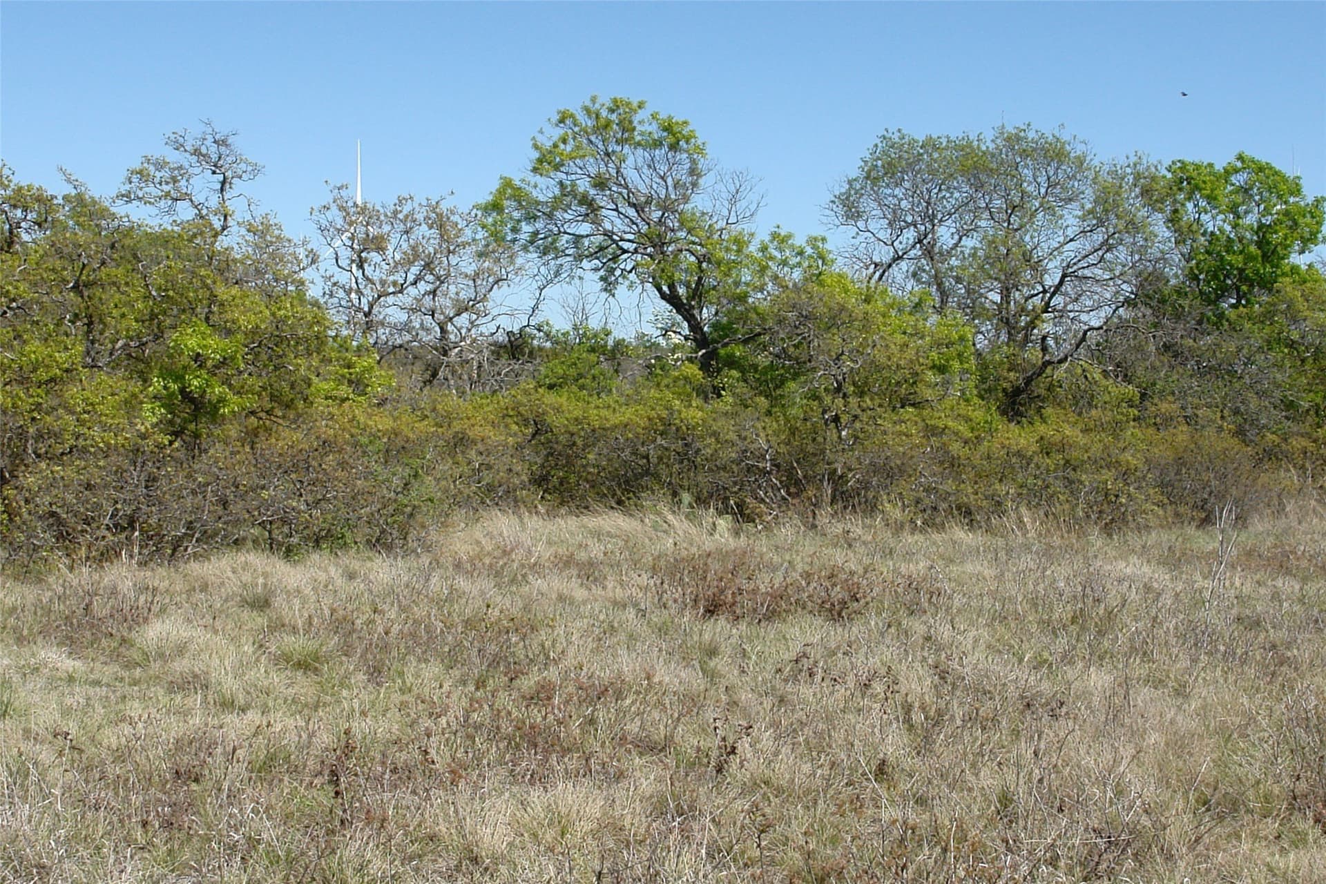 100 acres in Mills County - photo 26