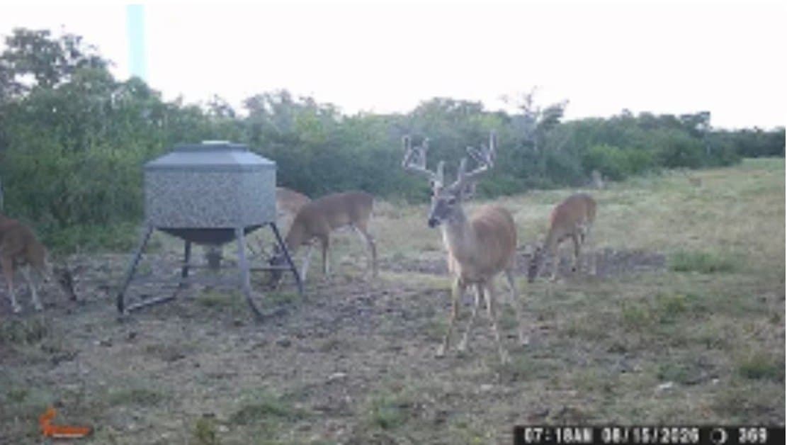 100 acres in Mills County - photo 28