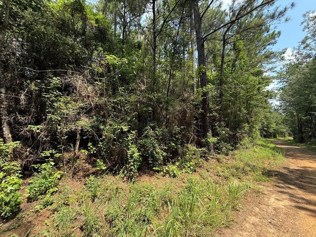 121 acres in Texas County gallery image 2