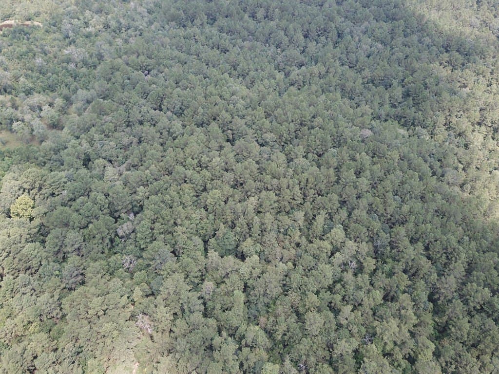 121 acres in Texas County gallery image 4