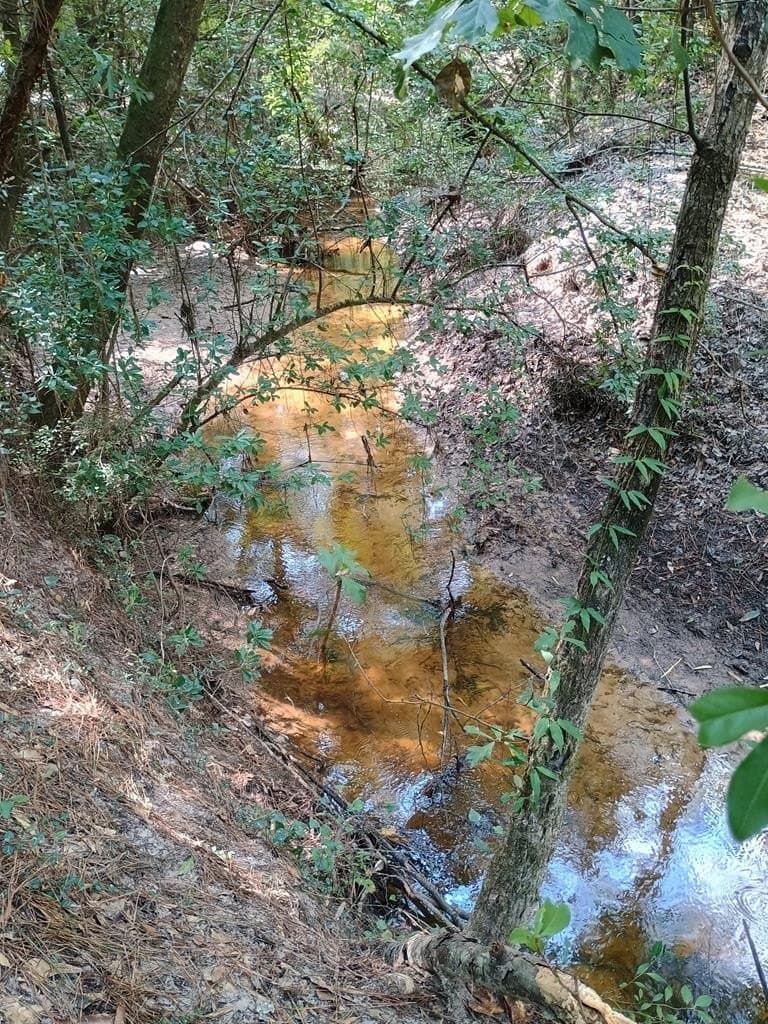 121 acres in Texas County