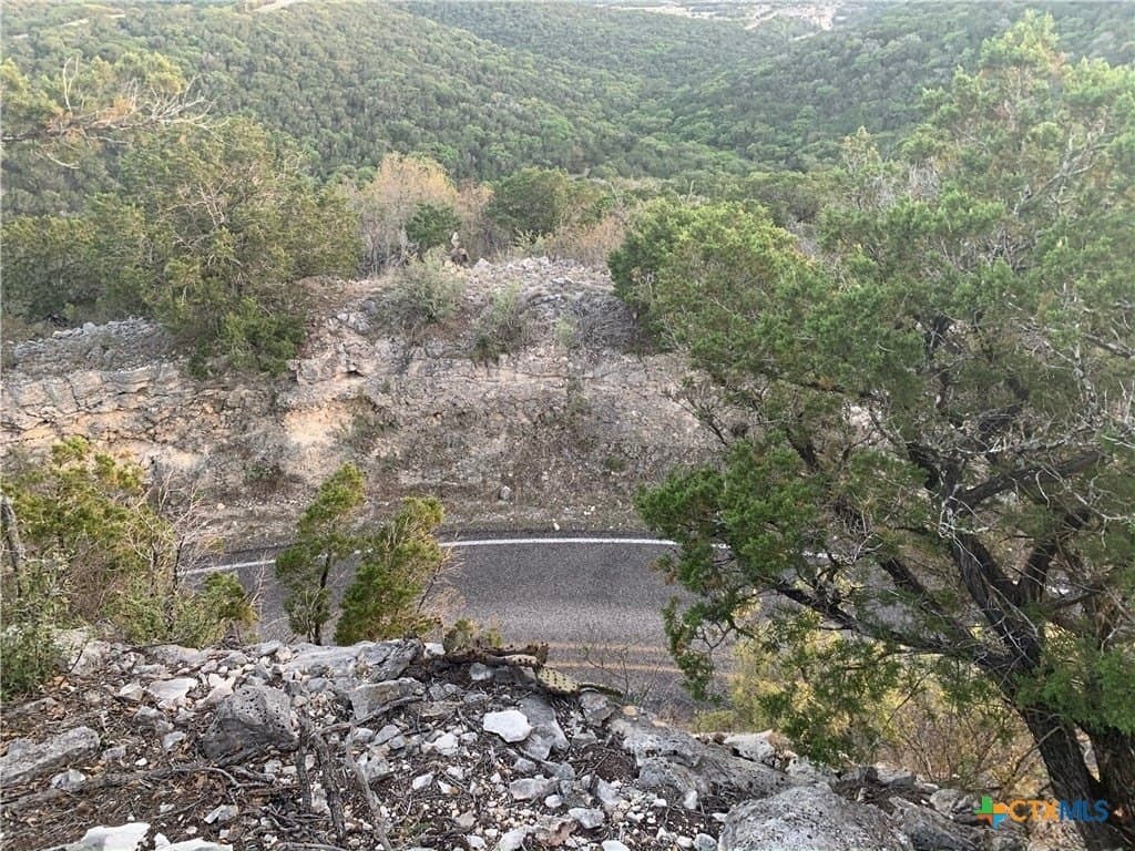28.62 acres in Real County gallery image 4
