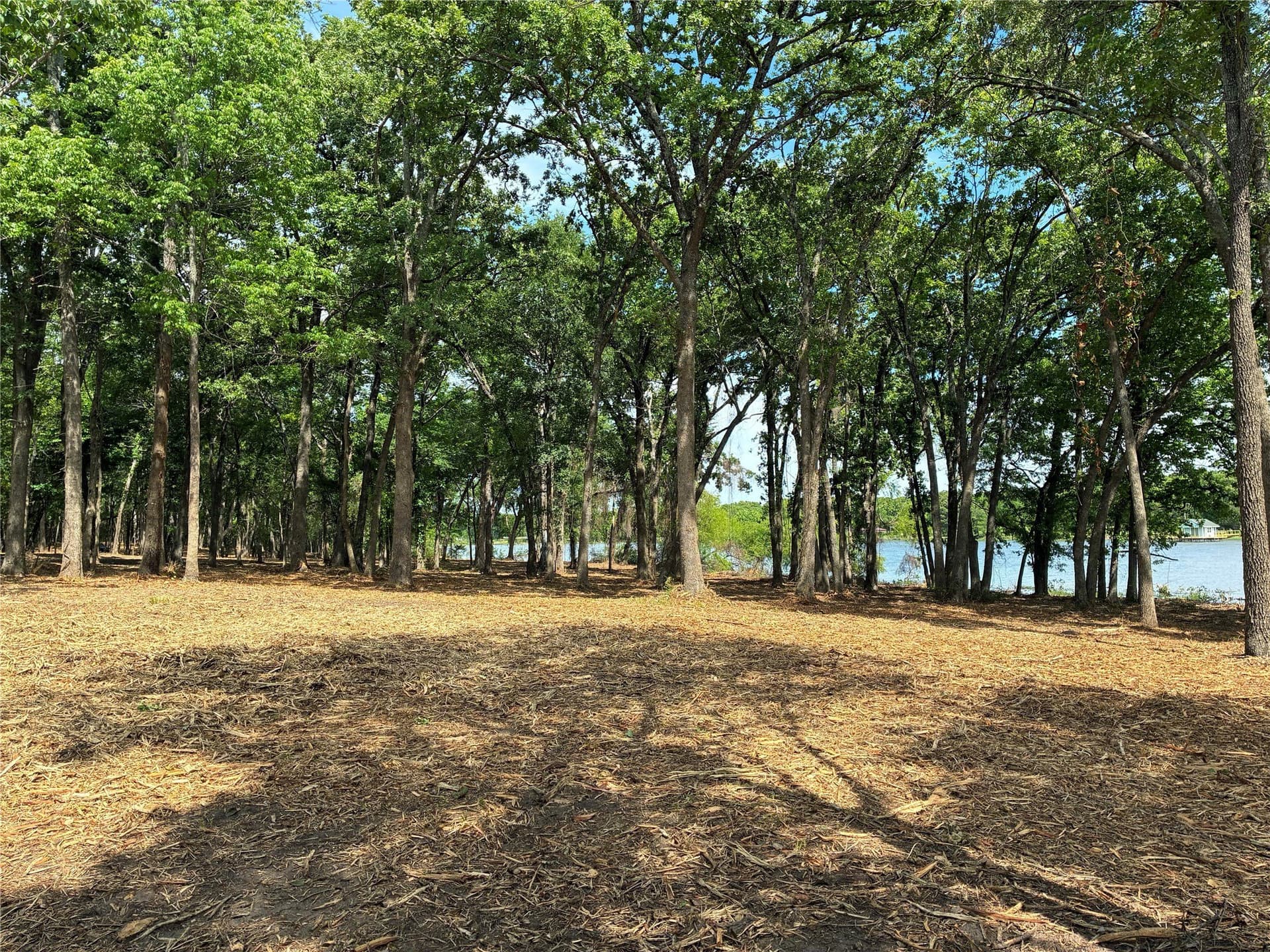 19.82 acres in Hunt County - photo 4