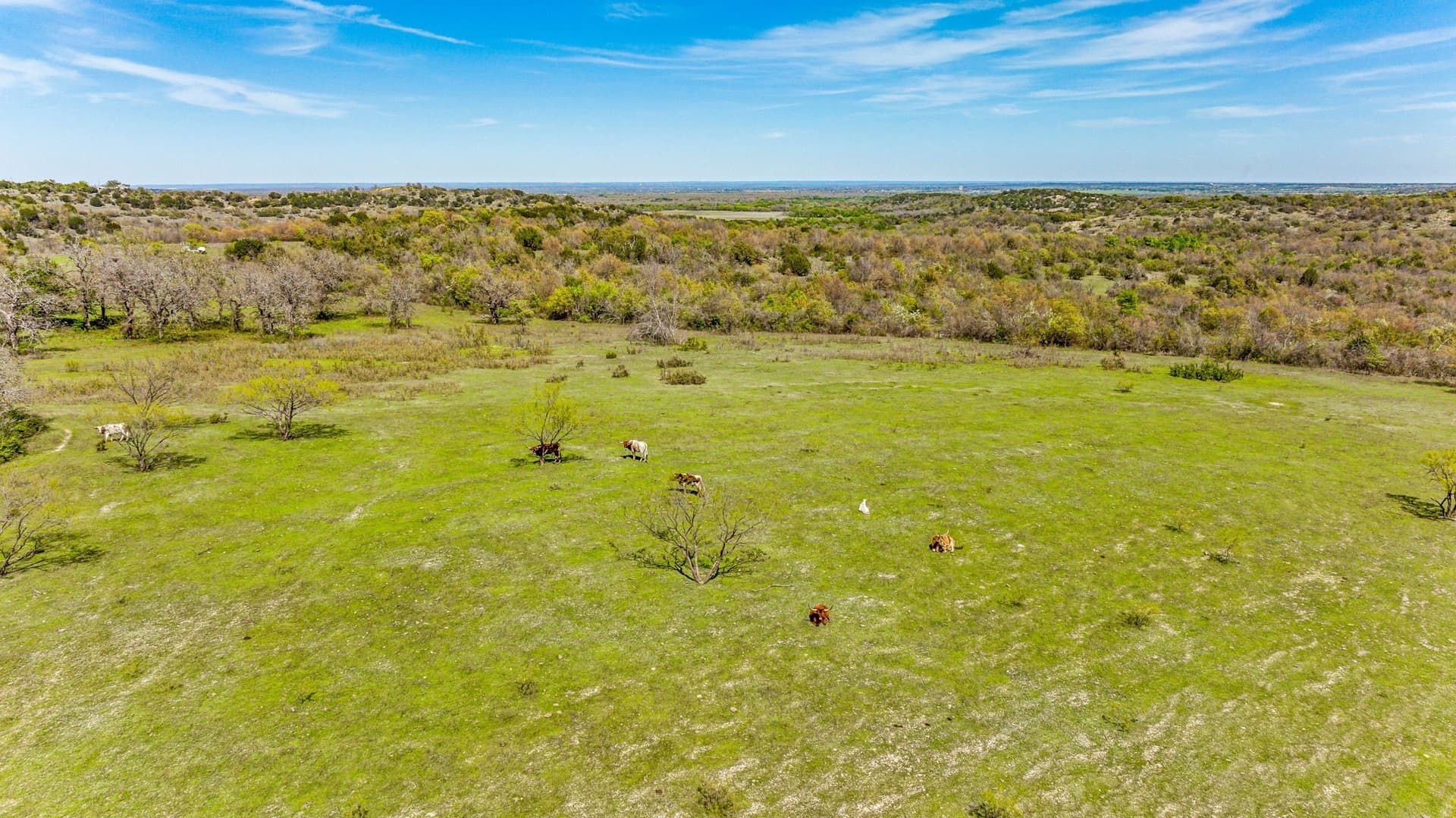 53.66 acres in Erath County - photo 22