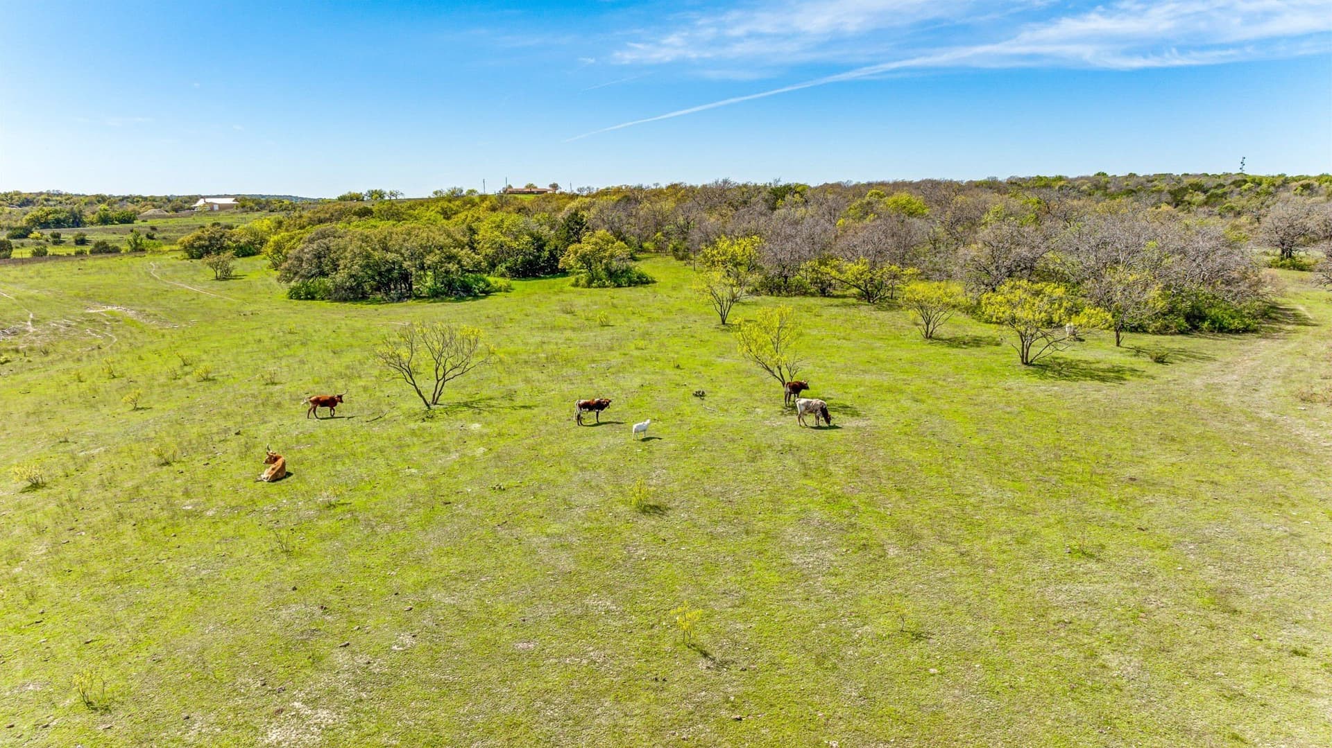 53.66 acres in Erath County - photo 23