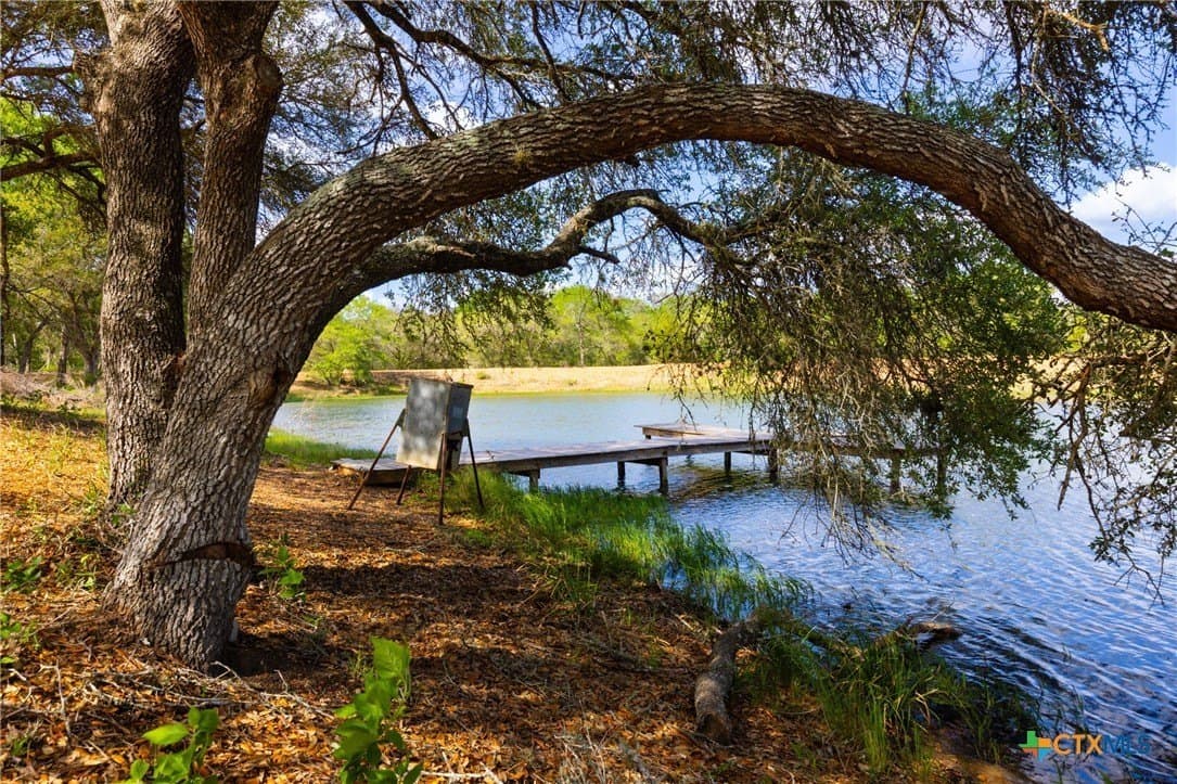 40 acres in Colorado County gallery image 3