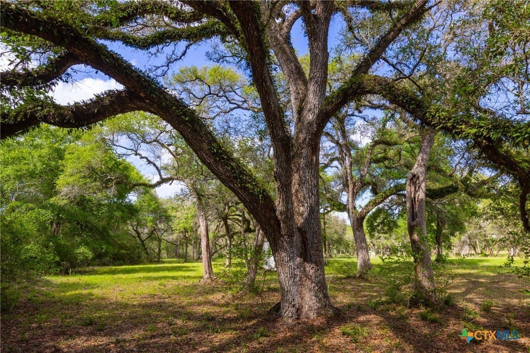 40 acres in Colorado County featured view