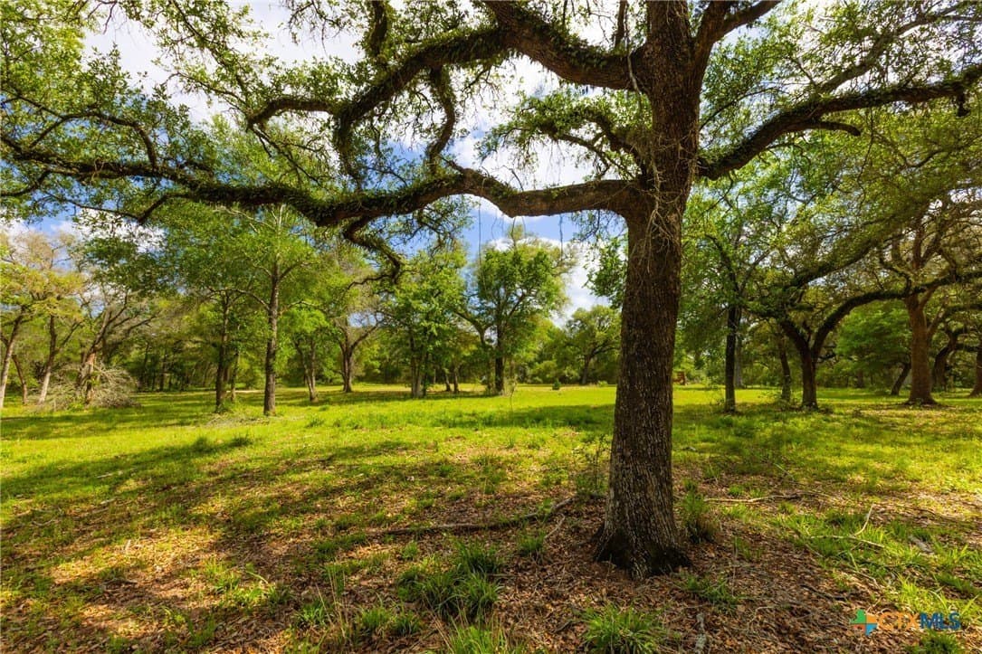 40 acres in Colorado County gallery image 2