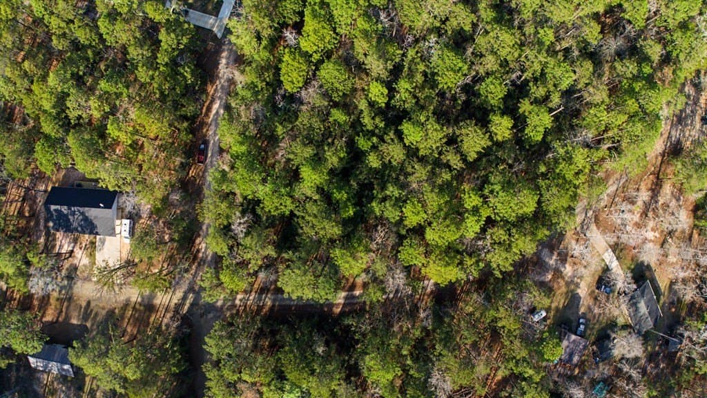 0.25 acres in Texas County - photo 2