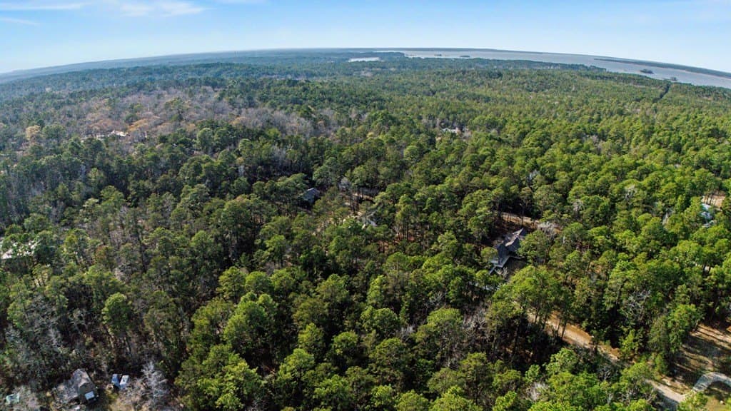 0.25 acres in Texas County - photo 4