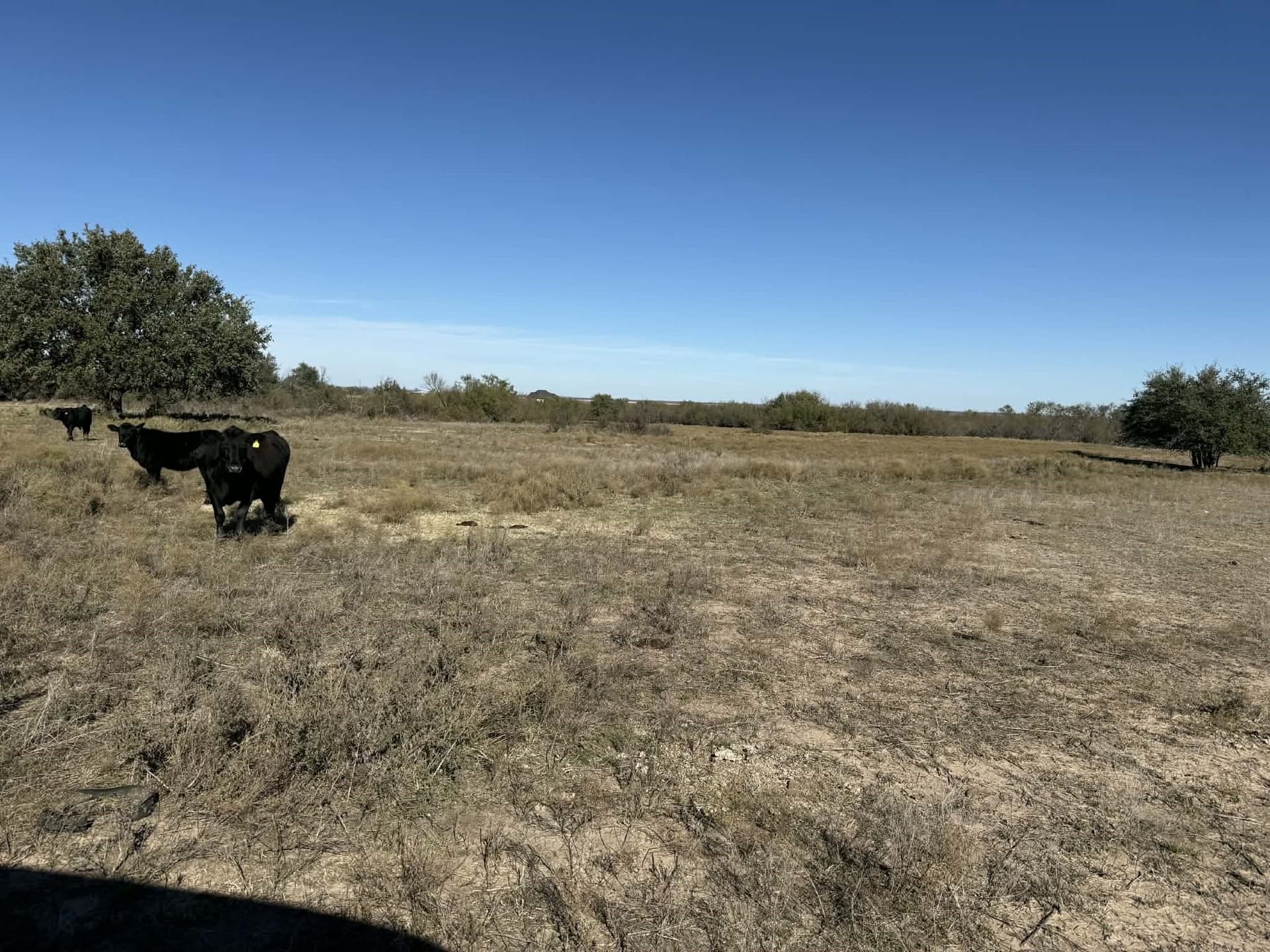343.33 acres in Brown County - photo 8