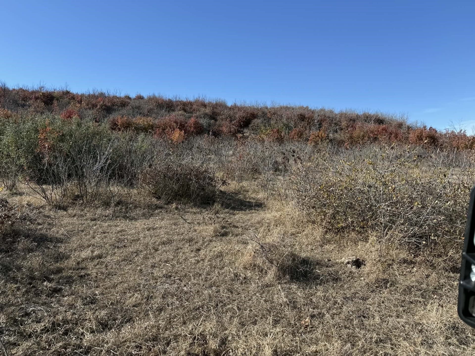 343.33 acres in Brown County - photo 15