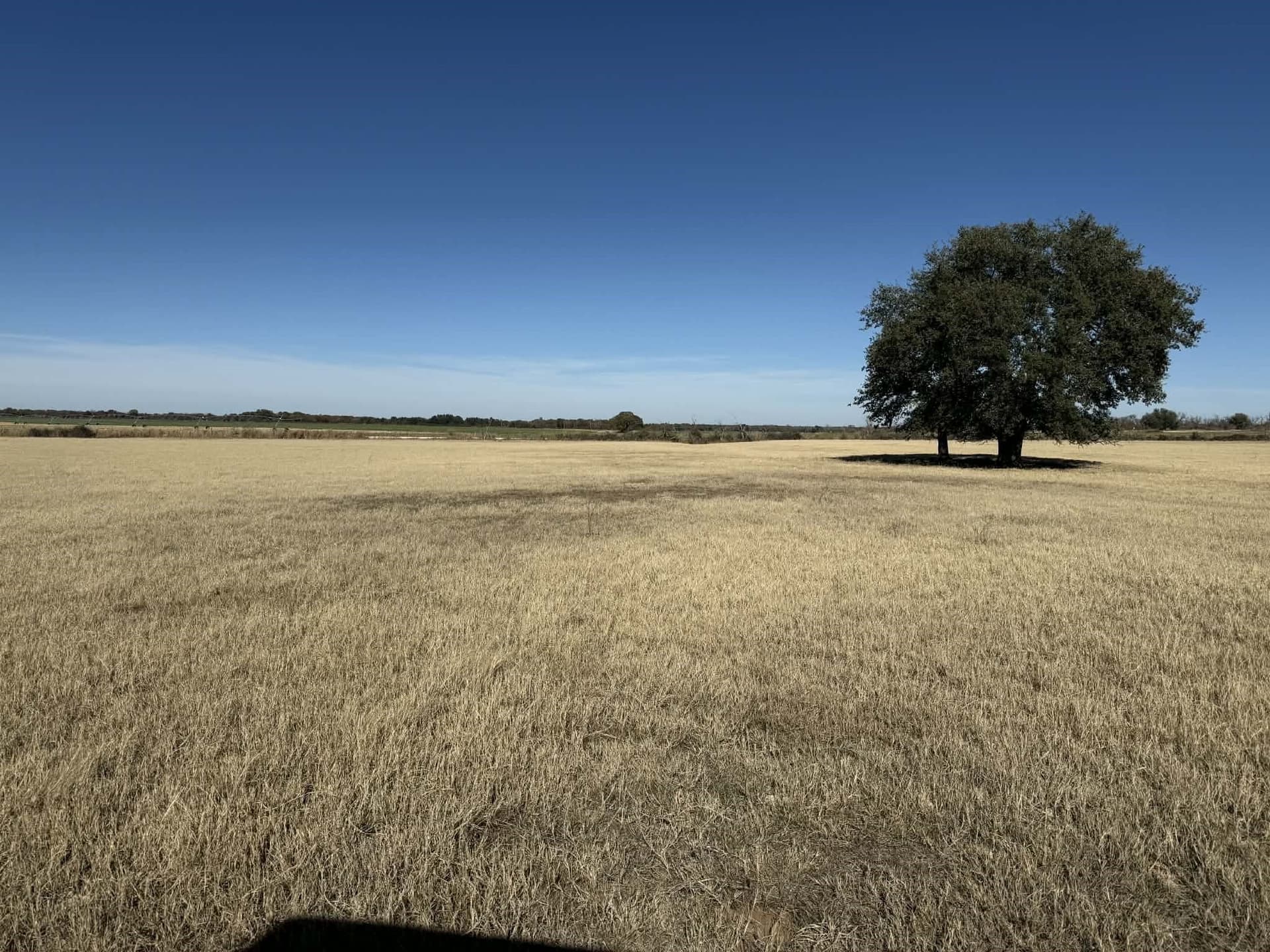 343.33 acres in Brown County - photo 6