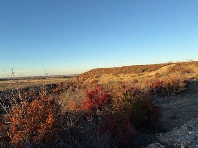 343.33 acres in Brown County - photo 5
