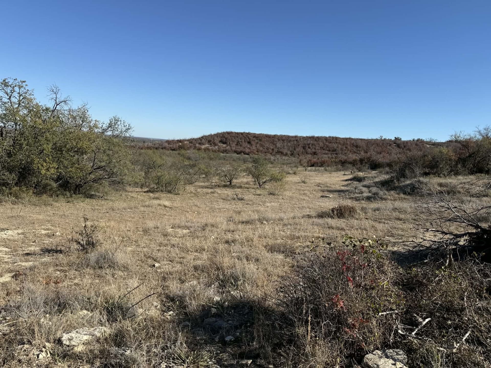 343.33 acres in Brown County - photo 16