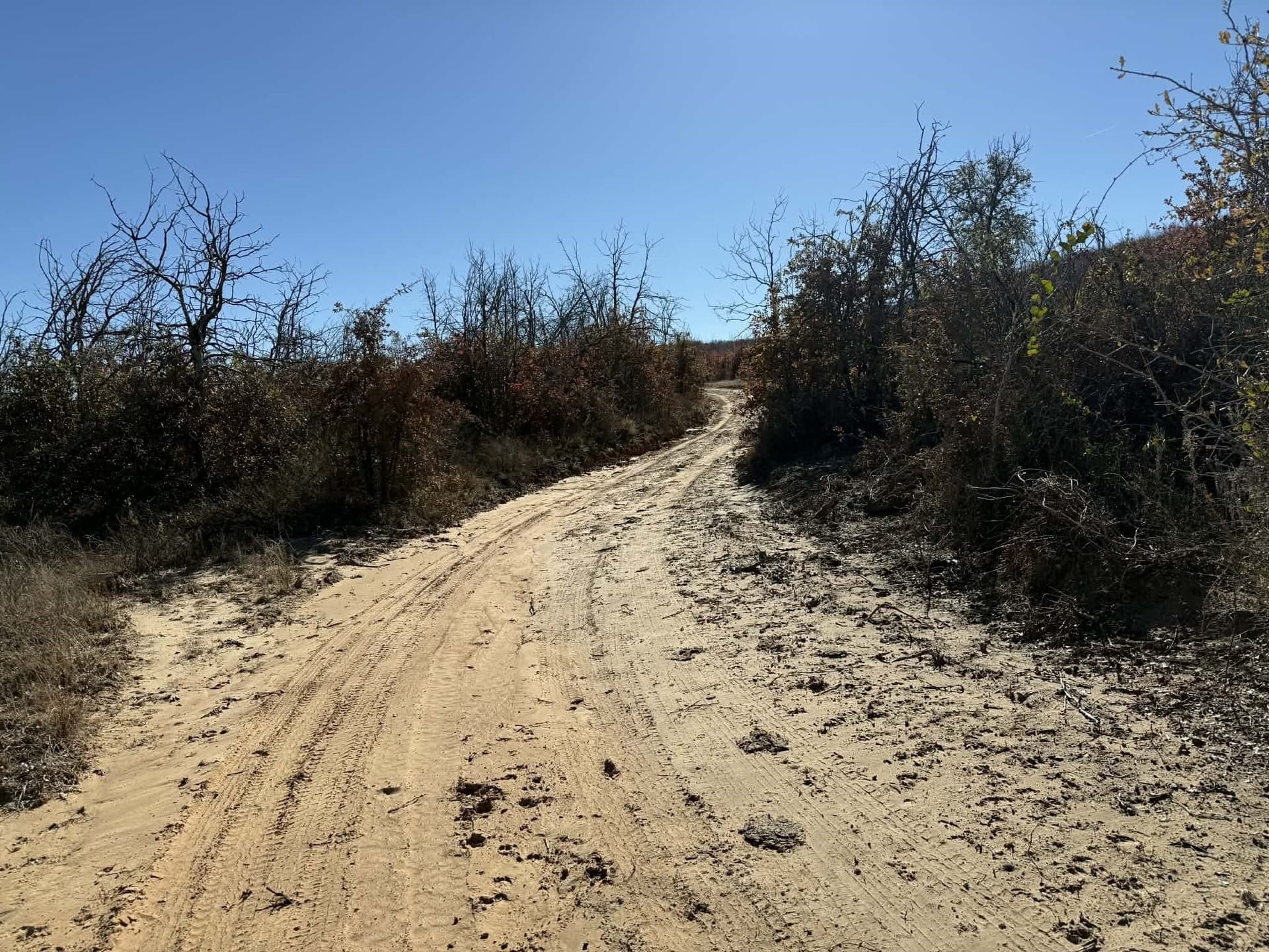 343.33 acres in Brown County - photo 9