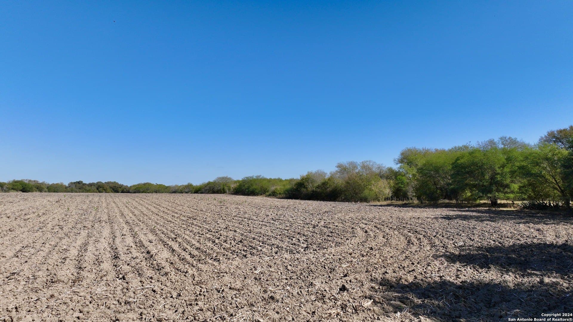 64.33 acres in Karnes County gallery image 3