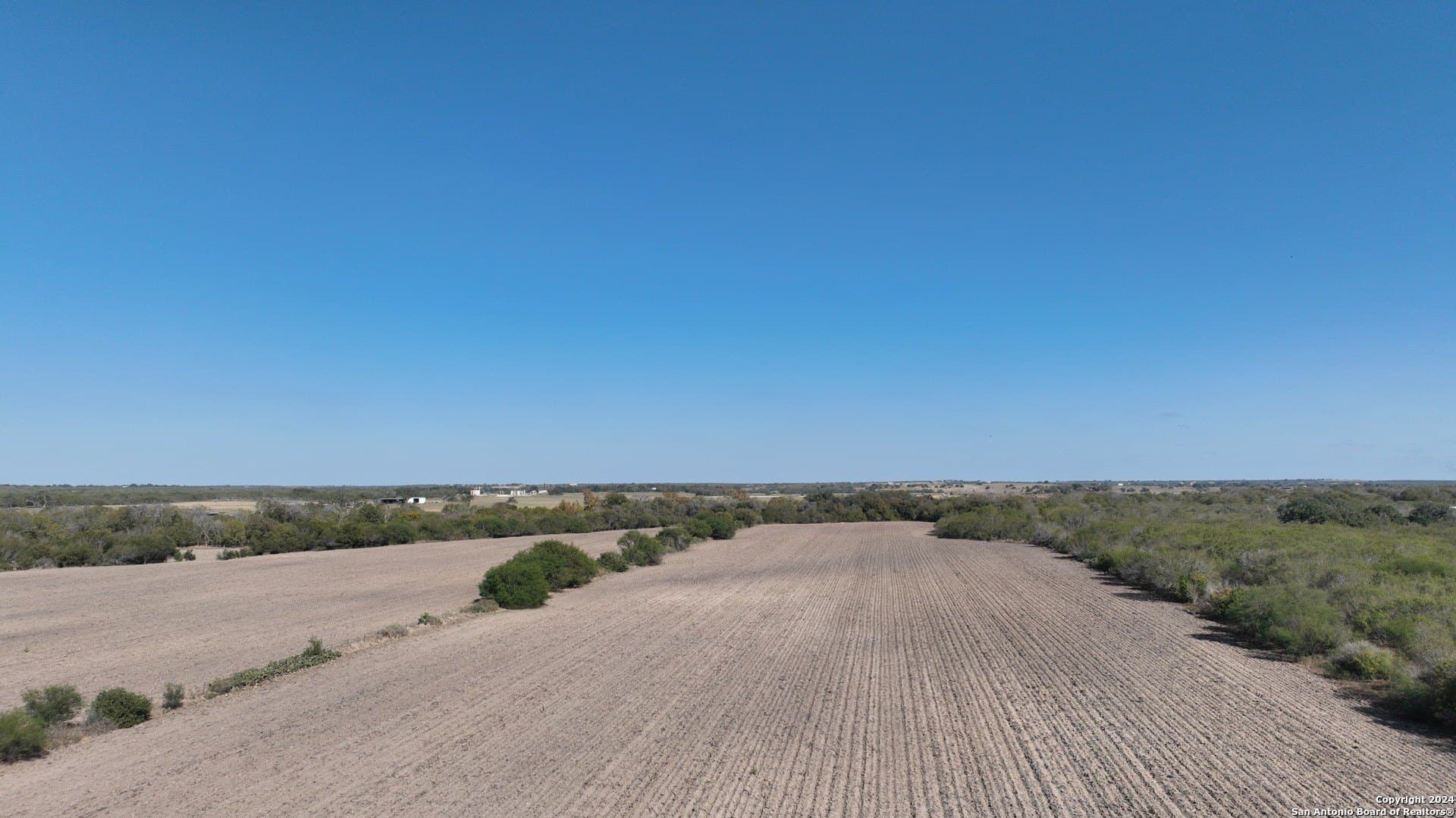 64.33 acres in Karnes County gallery image 4