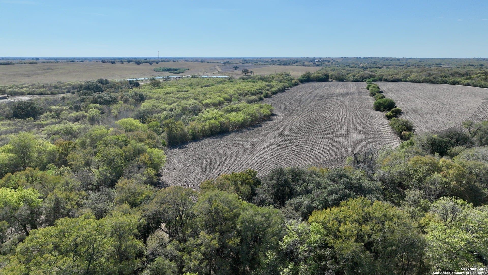 64.33 acres in Karnes County gallery image 2