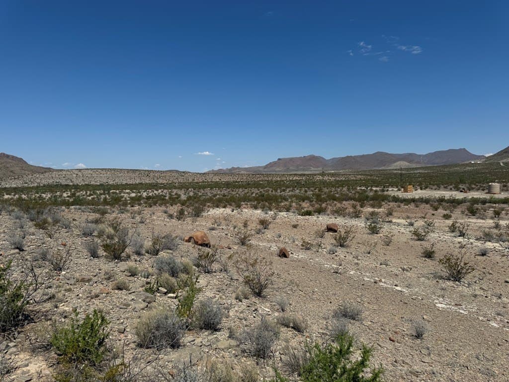 5.2 acres in Brewster County gallery image 3