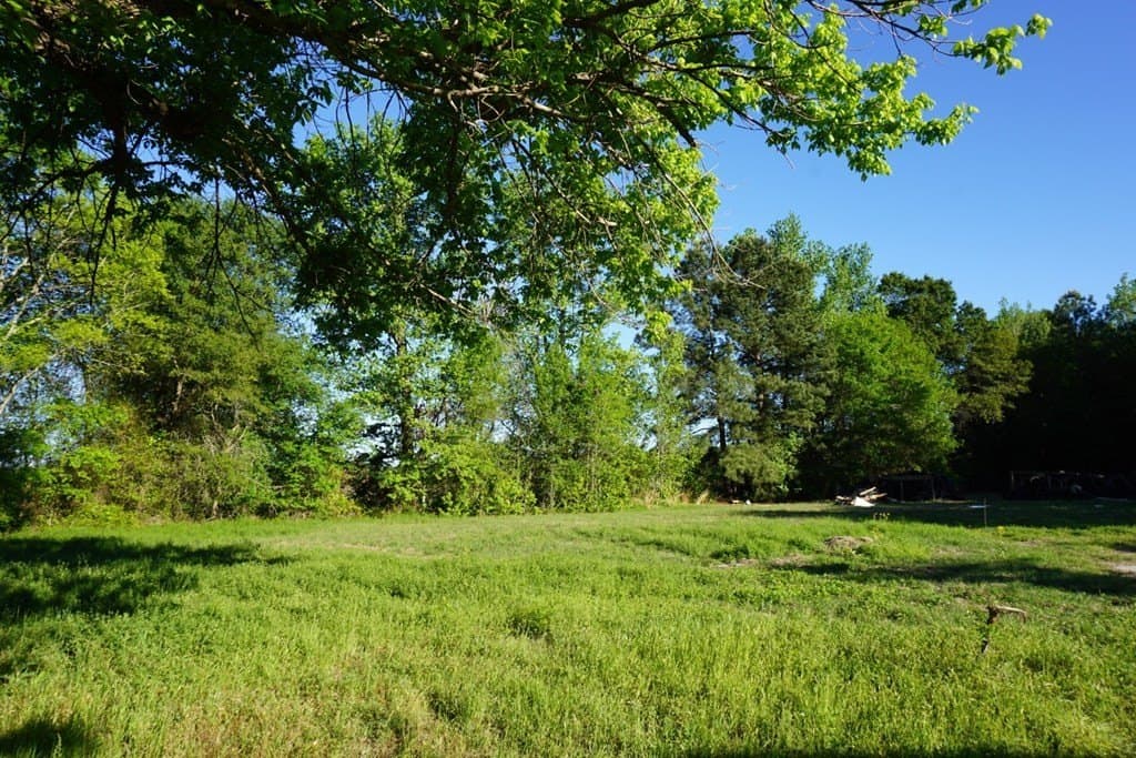 6 acres in Henderson County gallery image 3