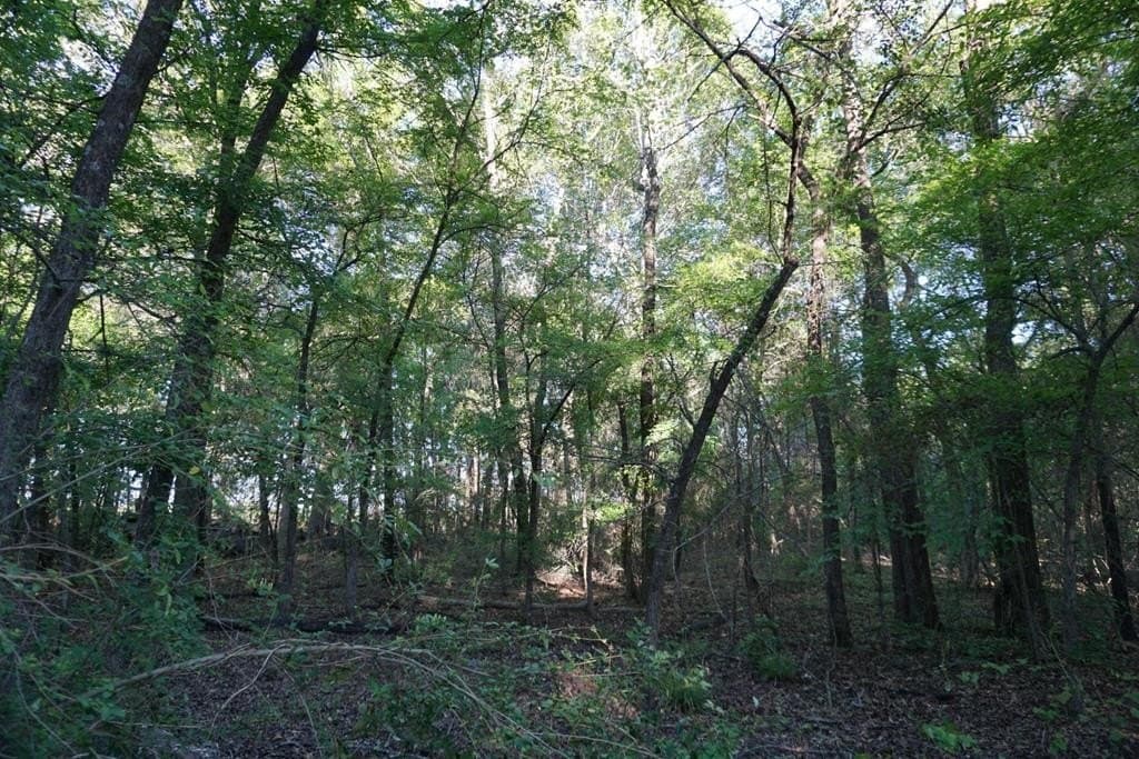 6 acres in Henderson County