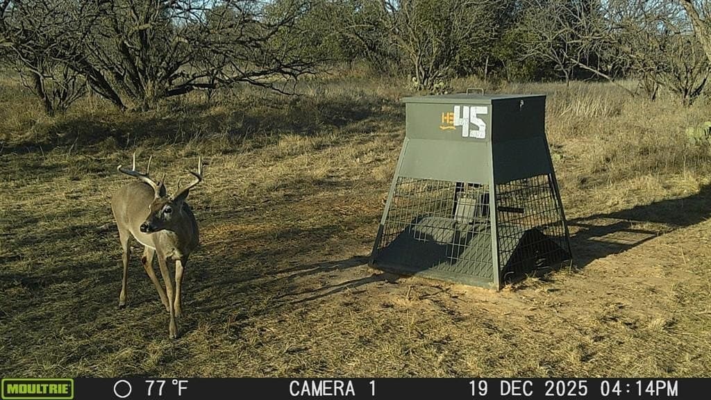 40 acres in Stephens County featured view