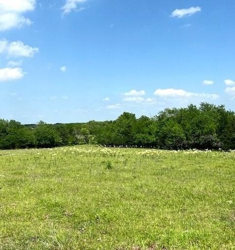82.28 acres in Collin County gallery image 4