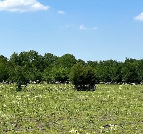82.28 acres in Collin County featured view