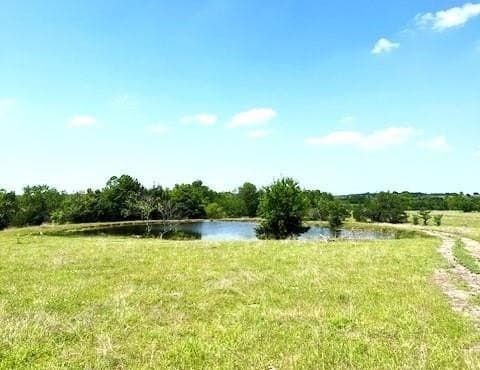 82.28 acres in Collin County gallery image 3