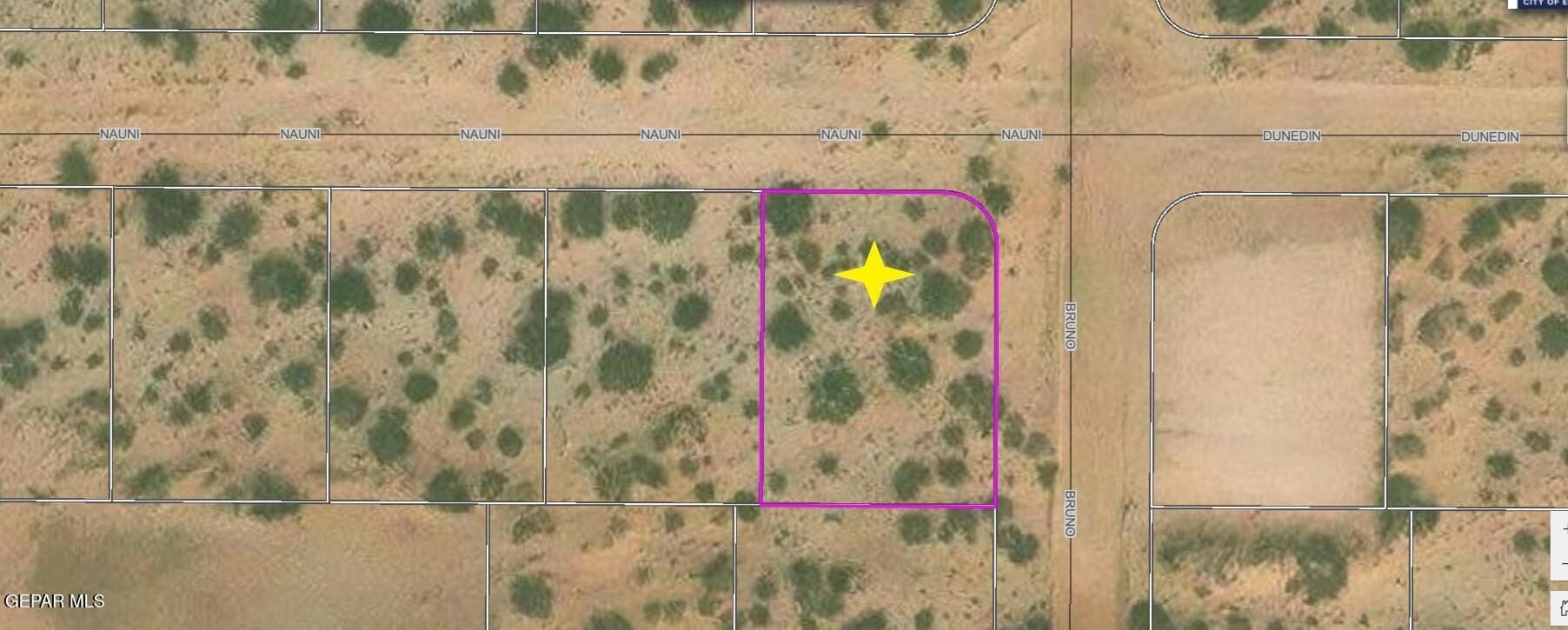 0.25 acres in El Paso County gallery image 4