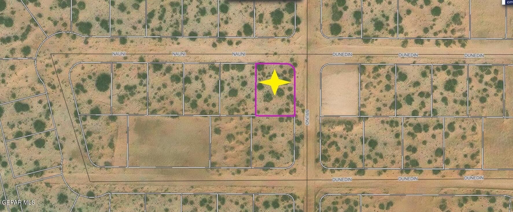 0.25 acres in El Paso County gallery image 3